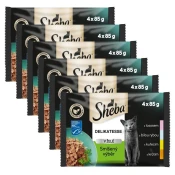 Sheba Delikatesse Mješoviti izbor u želeu 6 x (4 x 85 g)