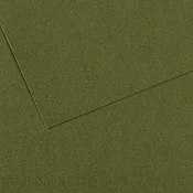 Toniran papir CANSON Mi-Teintes 50 x 65 cm – 160 g/m2 - Bršljan 448