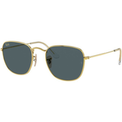 Ray-Ban Frank RB3857 9196R5 - L (54)