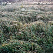 Steve Gunn - Music For Writers (Limited Edition) (Pedvale Sunrise Orange Coloured) (LP)