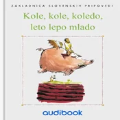 AUDIBOOK Avdio knjiga: Kole, kole, koledo, leto lepo mlado