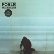 Foals - What Went Down (Anniversary Edition) (Limited Edition) (Coke Bottle Green Coloured) (LP)