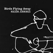 Mason Jennings - Birds Flying Away (LP)