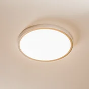 ORION LED stropna svjetiljka Vika, okrugla, mat titan, O 30cm - Dnevni boravak/blagovaonica - Moderan - titan mat, opal - Metal