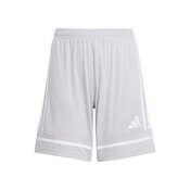 ADIDAS PERFORMANCE Športne hlače Squadra 25 siva/bela