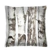 Bertoni Home Unisexs Square Pillow Brzoza