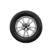 Zimski komplet koles Audi A5 Avant, A5 Limuzina - 17 col (ALU platišča) - 4 kosi