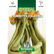 BUČA TROMBETTA DALBENGA