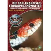 Die San-Francisco-Strumpfbandnatter