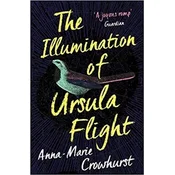 Illumination of Ursula Flight