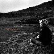 David Sylvian - Alchemy An Index Of Possibilities (180 g) (LP)