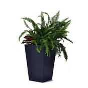 Keter Rattan Planter S 23,6 l grafit