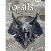 Bug Club Non-fiction Gold A/2B Fossils 6-pack