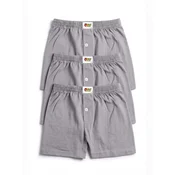 ÖTS Spodnjice ÖTS Herren-Boxershorts svetlo siva
