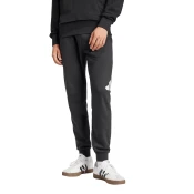 Adidas Muški donji deo trenerke Bl Ft Pt M, Crni