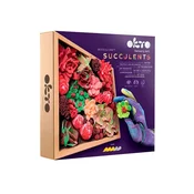OKTO Set za modeliranje sukulentov 21 x 21 cm ŽELJA