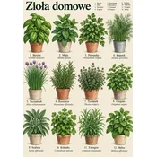 Plakat 30x40 cm Domača zelišča starinski botanični zeliščni atlas
