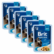 Vrečka BRIT Premium Cat Delicate Fillets in Gravy with Chicken 6 x 85 g