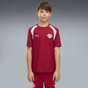 PUMA RB Leipzig Training Jersey Youth, Clothing, Dark Crimson/White, 9-10Y