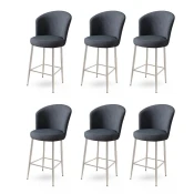 Hanah Home Set barskih stolica Alte, 6 komada, Antracit