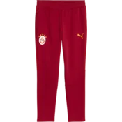 Puma Hlače Galatasaray SK Evostripe