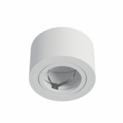 LED Labs Stropna nadometna svetilka FIRA - bela