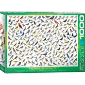 Eurographics The World of Birds 1000-Pieces Puzzle 6000-0821