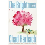 The Brightness