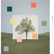 Washed Out - Notes From A Quiet Life (Limited Edition) (Yellow/Green Coloured) (LP)