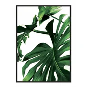 shumee SLIKA, PLAKAT V OKVIRJU 33x43 cm Monstera P842