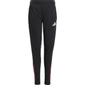 Hlače adidas TIRO25C TR PNTY