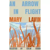 An Arrow in Flight