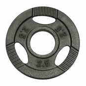 GORILLA SPORTS Teg od livenog gvožda 2.5 kg