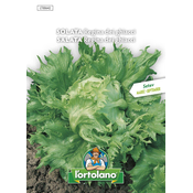 Solata Glavnata Regina - 5g
