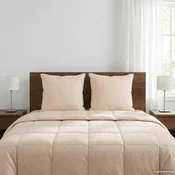 vidaXL Vzglavnik 2 pcs Bež 60 x 60 cm Kapok Svinčnik