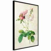 Poster - Romance I 30x45
