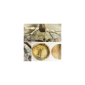 Boben Šamanski Tree hair 40cm 382423-40