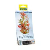 Tetra Rastlina Rdeča Ludwigia M