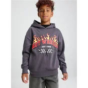Sinsay - Dukserica s kapuljacom Hot Wheels - tamno siva