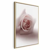 Slika - Floral Glamour Glow (1-part) - Delicate and Pastel Pink Rose 60x90