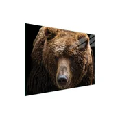 shumee STEKLENA DESKA ZA REZANJE 40x30 MEDVEDEK