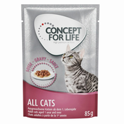 Concept for Life All Cats - u umaku - 48 x 85 g