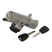shumee Citroen Jumper I FL 02-06 stikalo za vžig KOMPLETNO