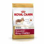 SHB CAVALIER KING CHARLES 3 kg