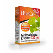 Ginkgo Biloba 120mg (90 tab.)