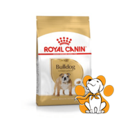 Royal Canin BHN Bulldog Adult, 12kg, Granule Za Pse Sa Živinskim Mesom