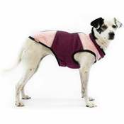 Obleka za pulover Frankie the rogue burgundska 60cm