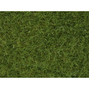 Divja trava, svetlo zelena, 50g/HO /