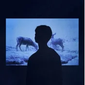 Jumo - Memory (LP)