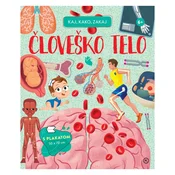 Mladinska Knjiga Kaj, kako, zakaj Človeško telo